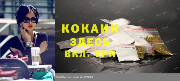 прущие грибы Волоколамск