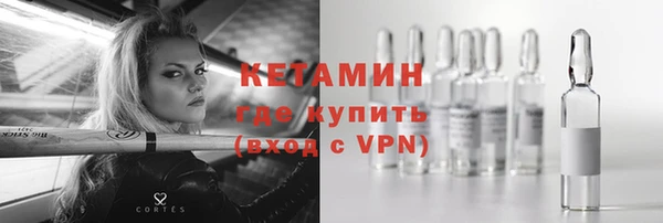 прущие грибы Волоколамск