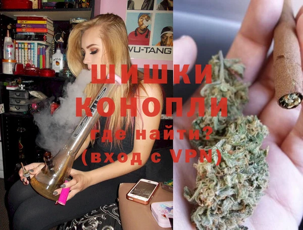 прущие грибы Волоколамск