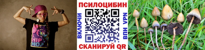 купить   Королёв  shop какой сайт  Псилоцибиновые грибы MAGIC MUSHROOMS 